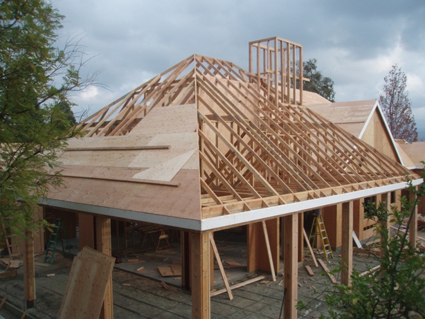 Plywood Roof Sheathing 01